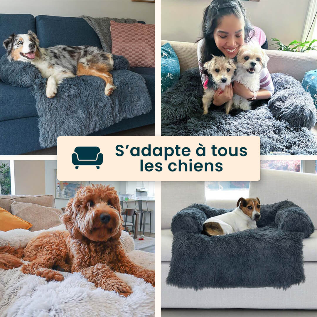 Dogy™️ Le coussin ultra-relaxant