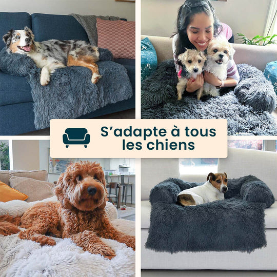 Dogy™️ Le coussin ultra-relaxant