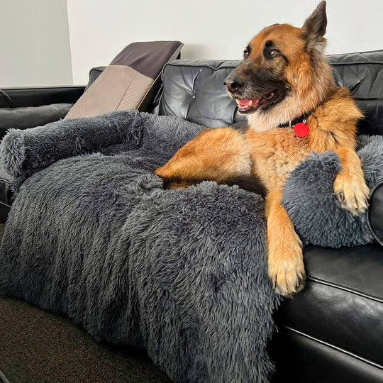 Dogy™️ Le coussin ultra-relaxant